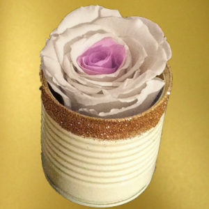 Bicolor-Preserved-Rose-in-small-box