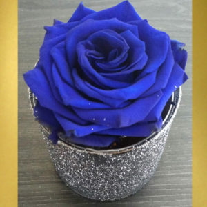 Blue-Preserved-Rose-in-small-box