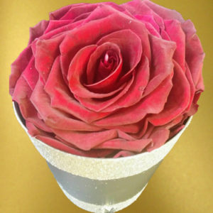 Deep-Red-Rose-in-small-box