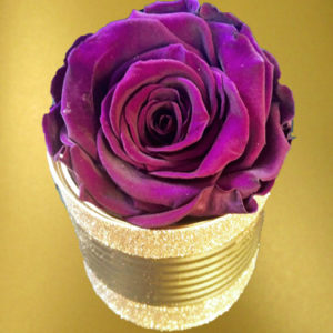 Lilac-Rose-in-small-box