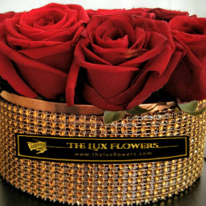1-rose-box-in-luxory-sparkling-gold-box
